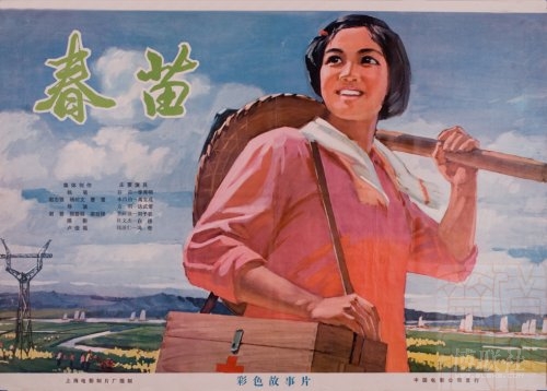 怀卡托大学教育学院学位证购买